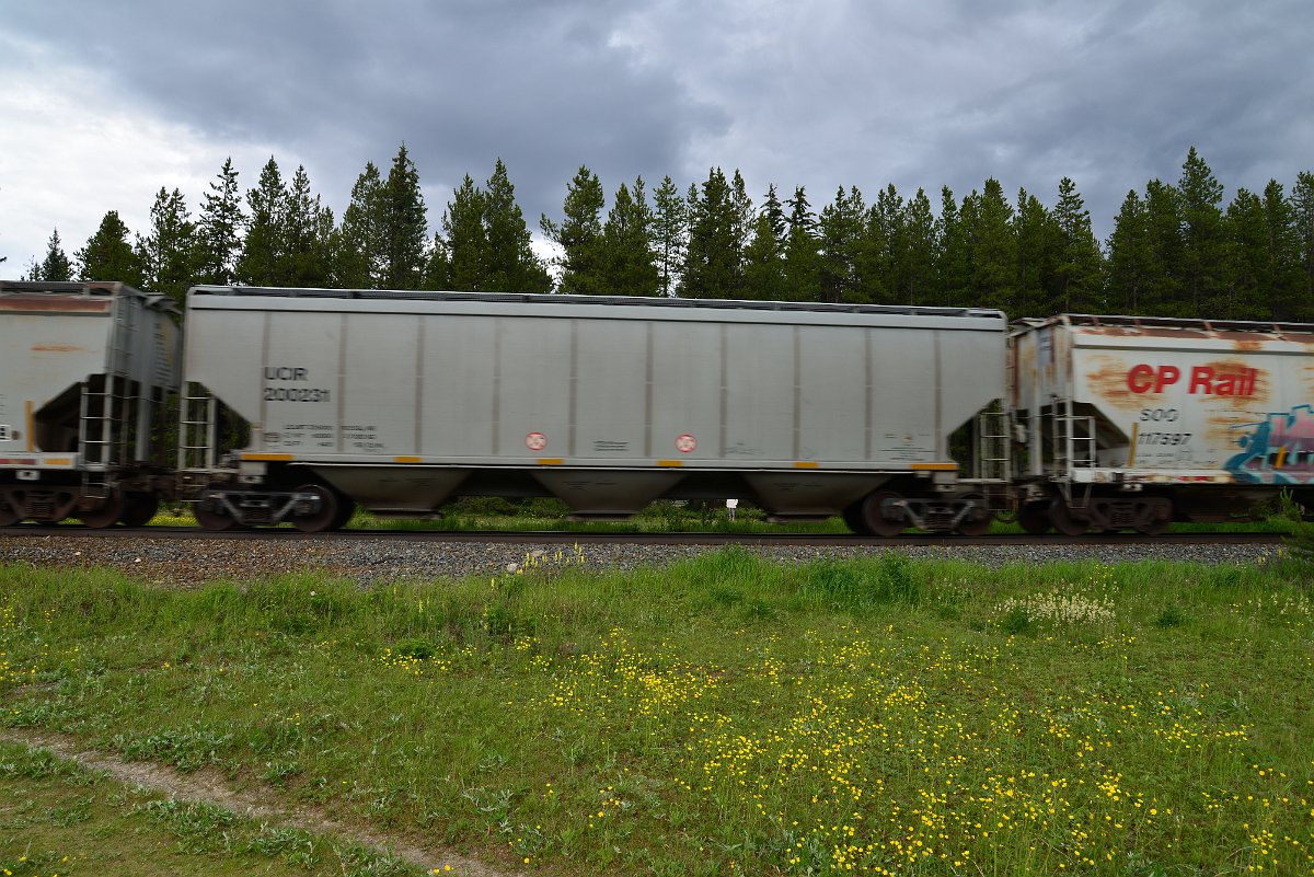 DSC_2826.JPG