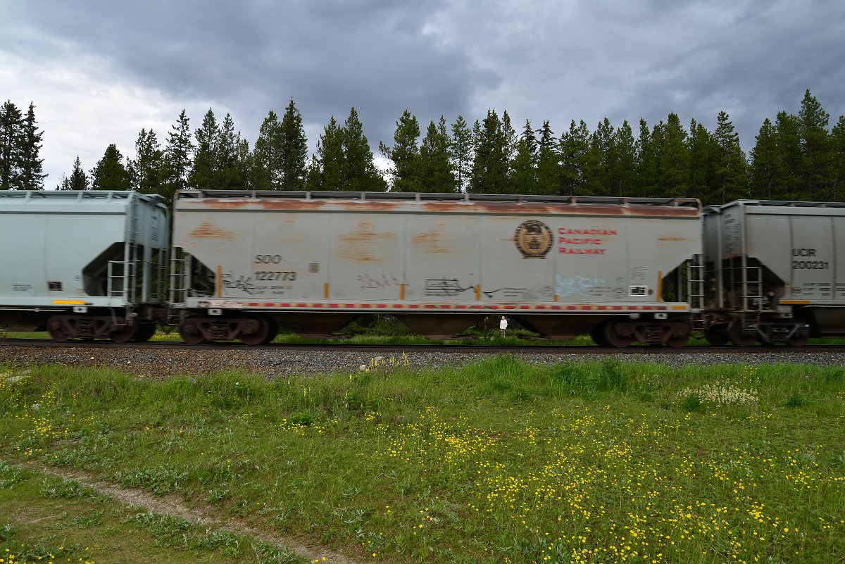 DSC_2827.JPG