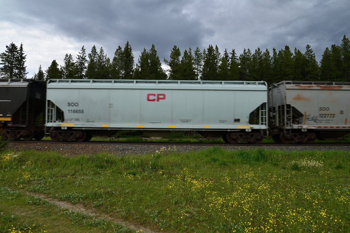 DSC_2828.JPG