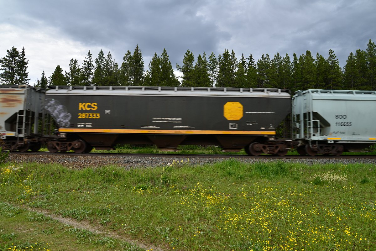 DSC_2829.JPG