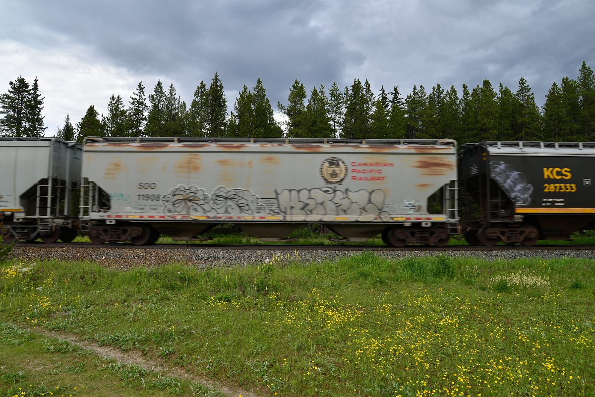 DSC_2830.JPG