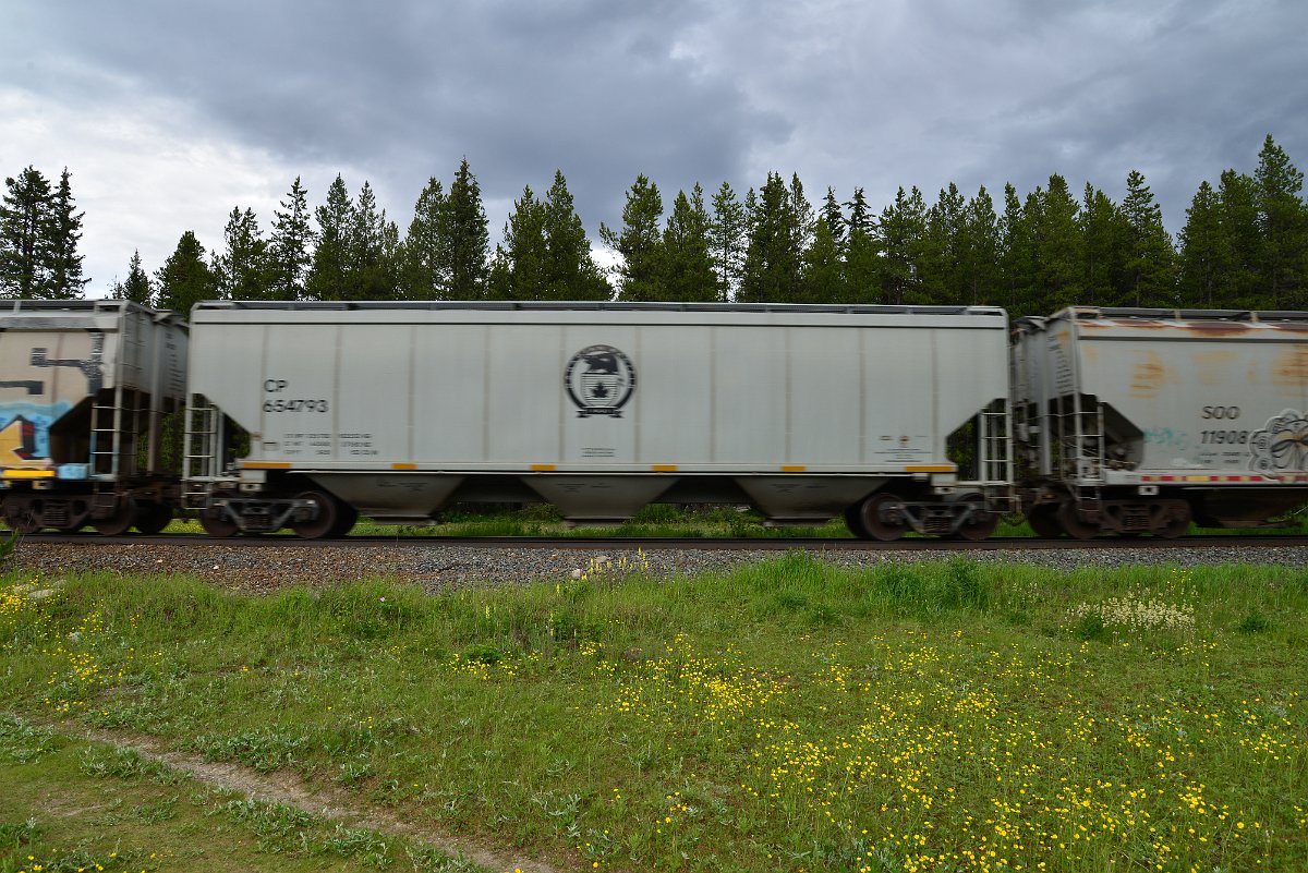DSC_2831.JPG