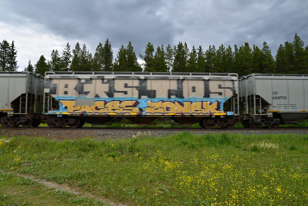 DSC_2832.JPG