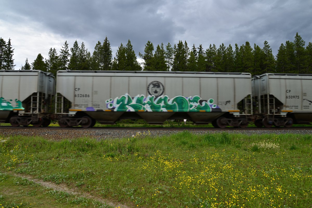 DSC_2834.JPG