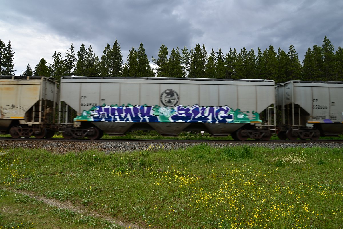 DSC_2835.JPG