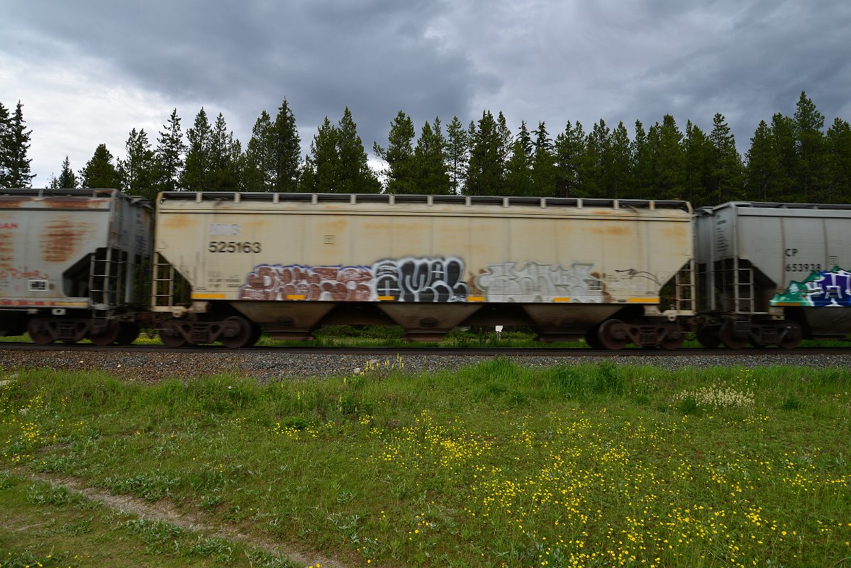 DSC_2836.JPG