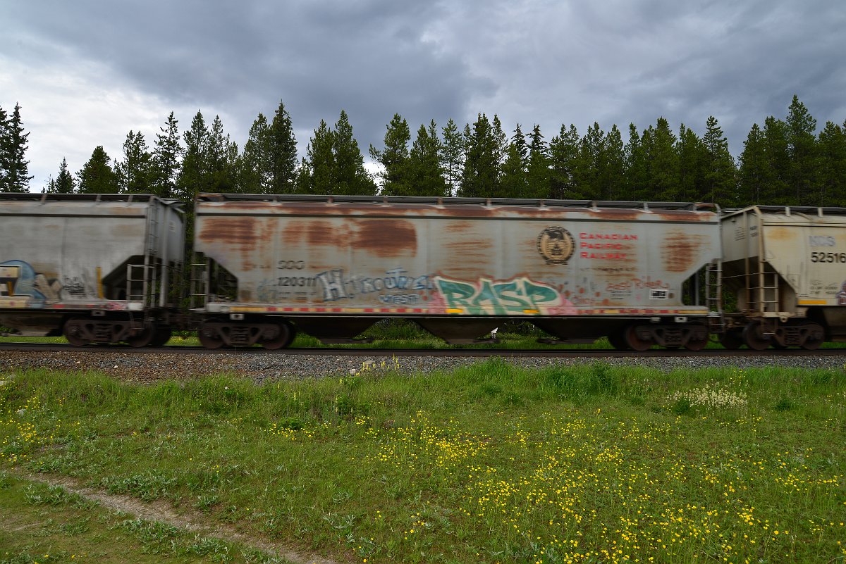 DSC_2837.JPG