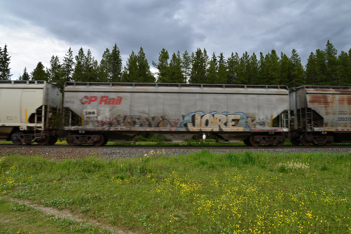 DSC_2838.JPG