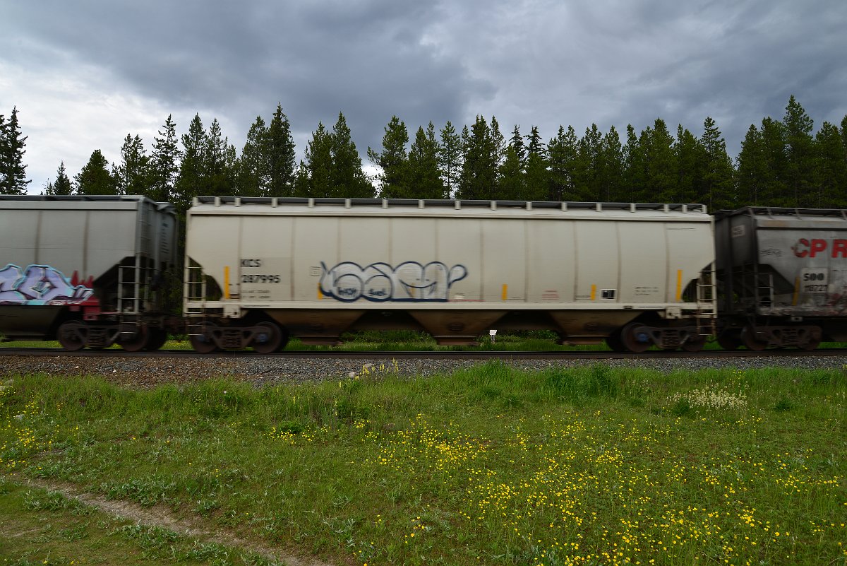 DSC_2839.JPG