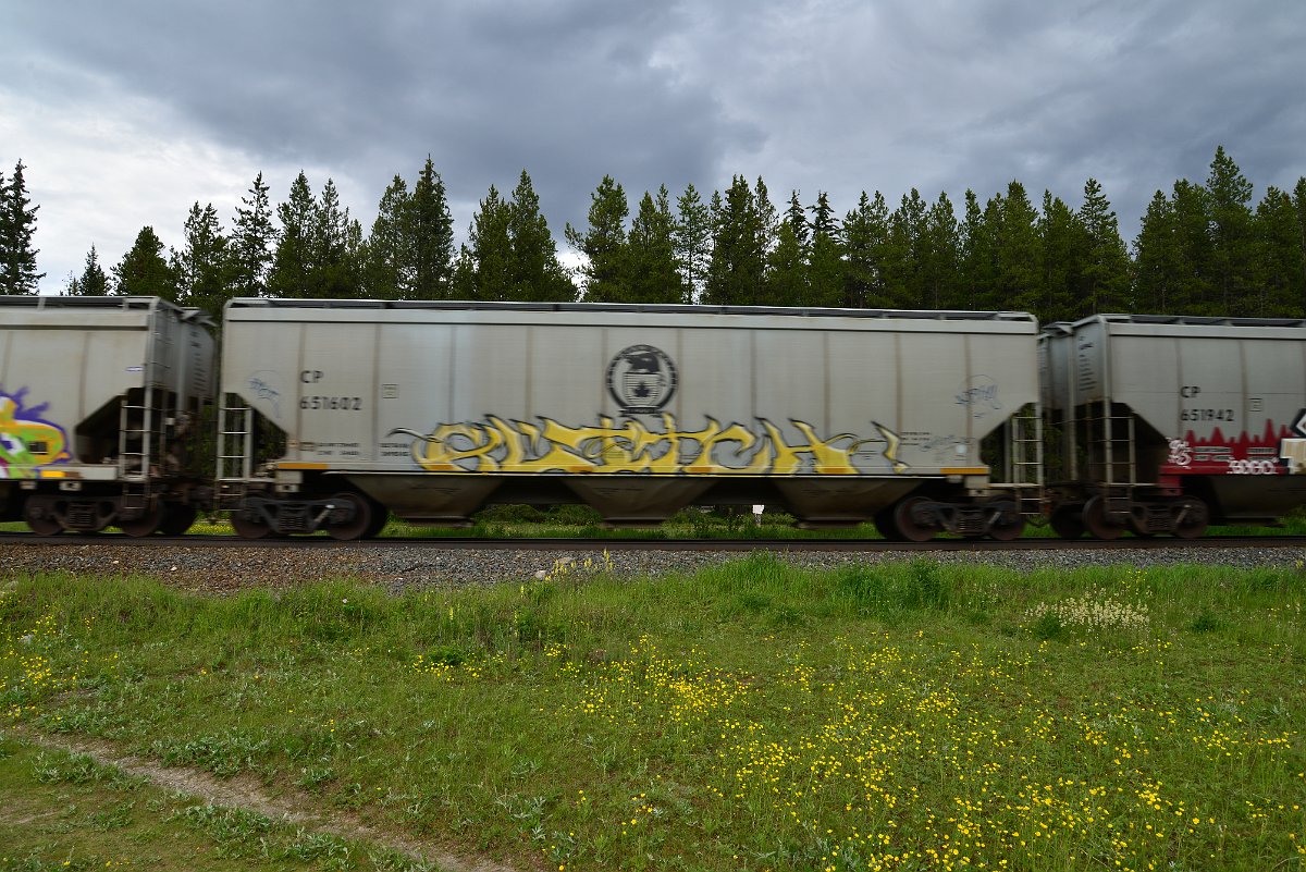 DSC_2841.JPG