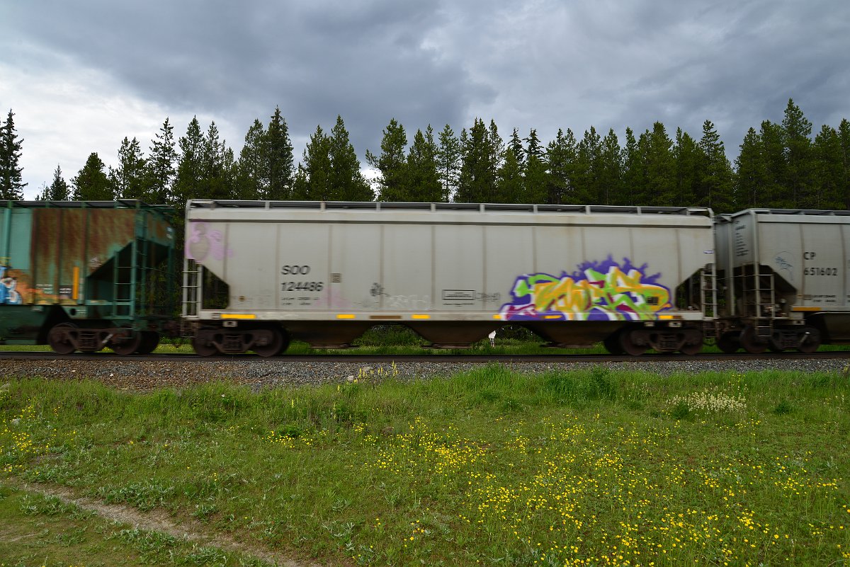 DSC_2842.JPG