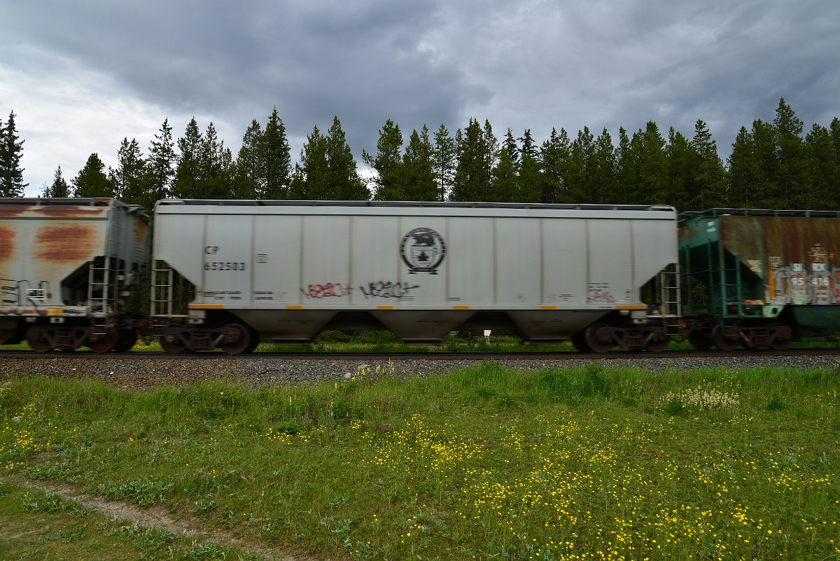 DSC_2844.JPG
