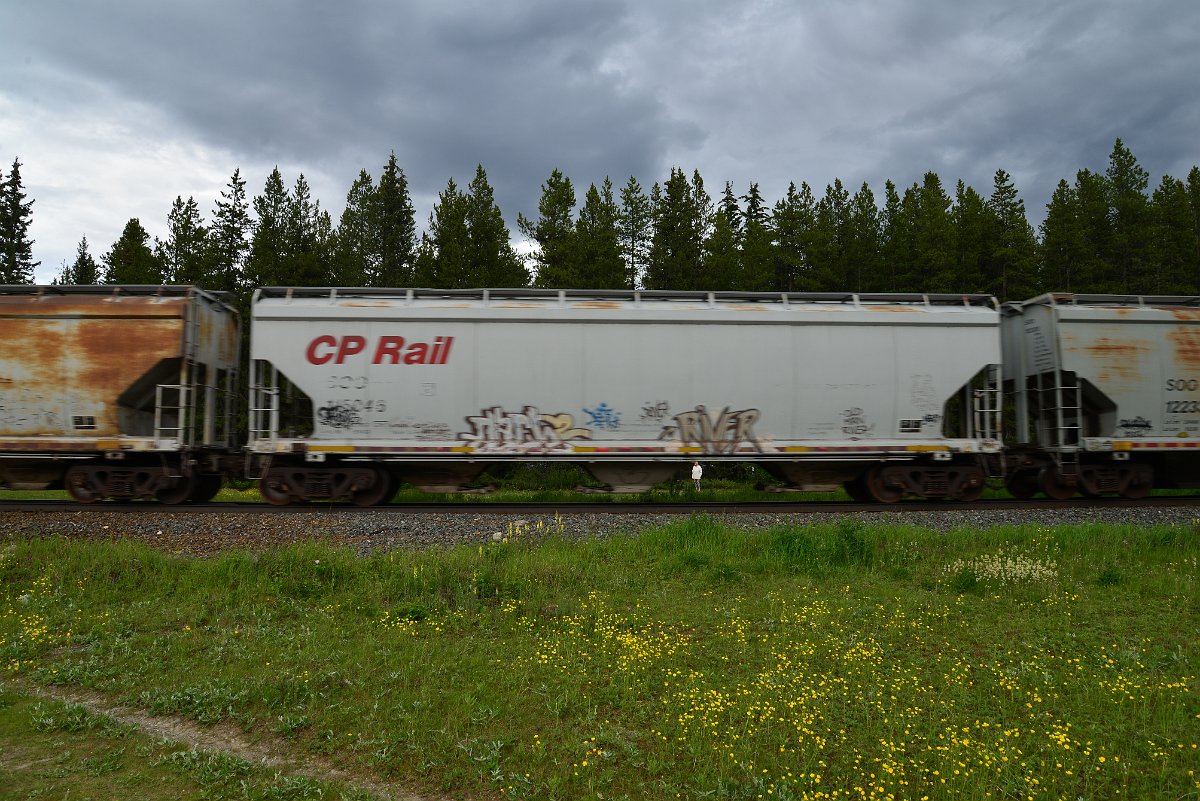 DSC_2846.JPG