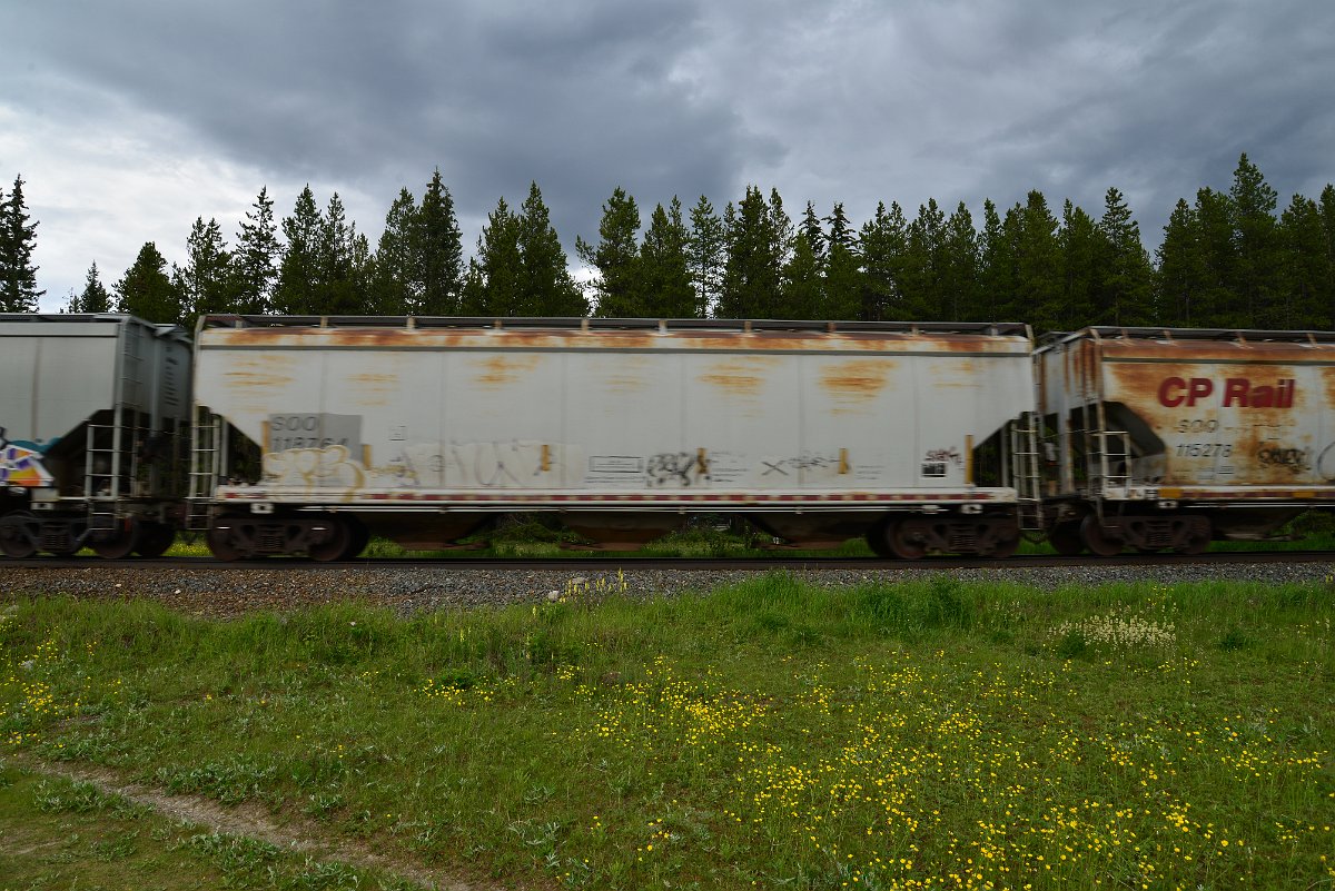 DSC_2848.JPG