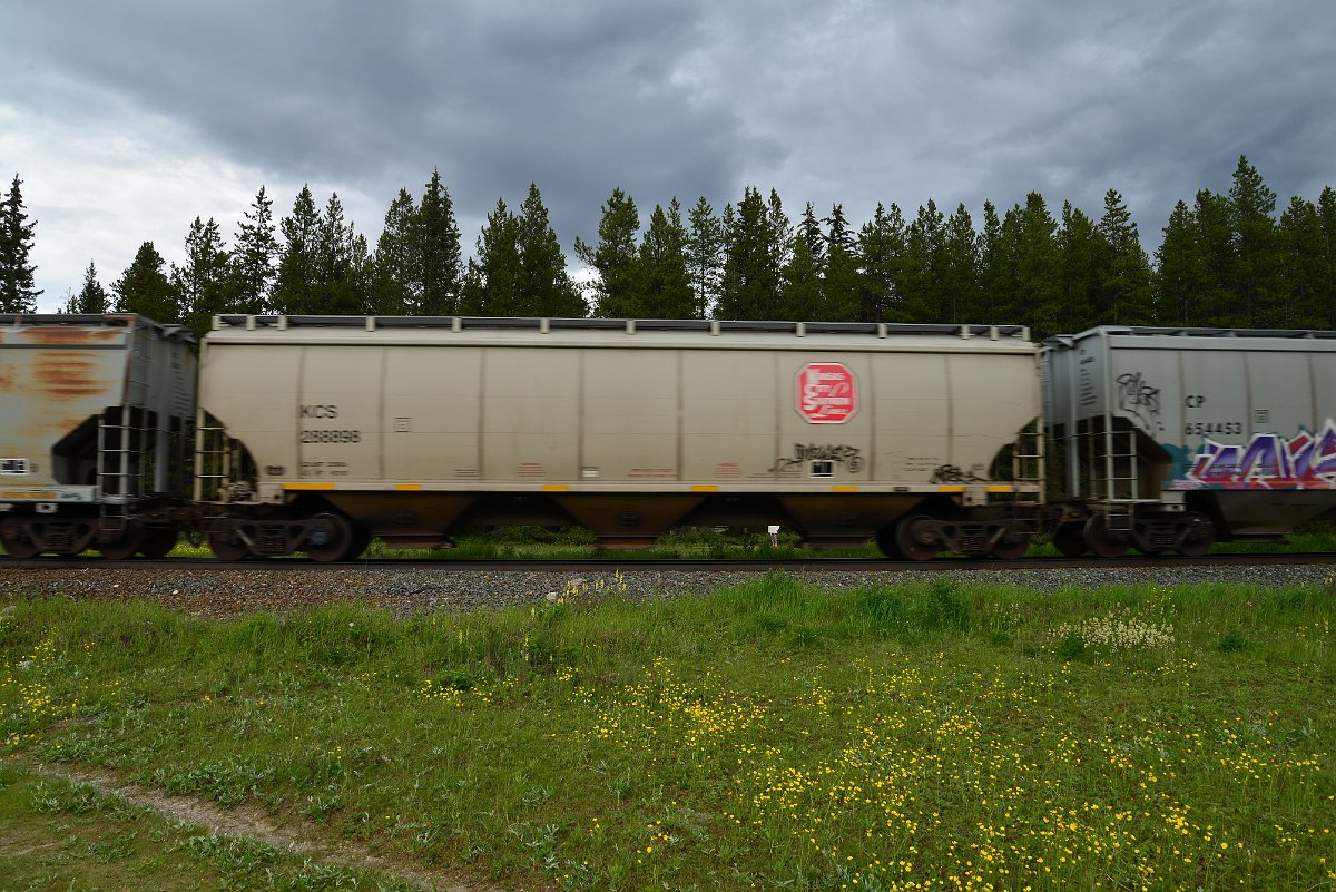 DSC_2850.JPG