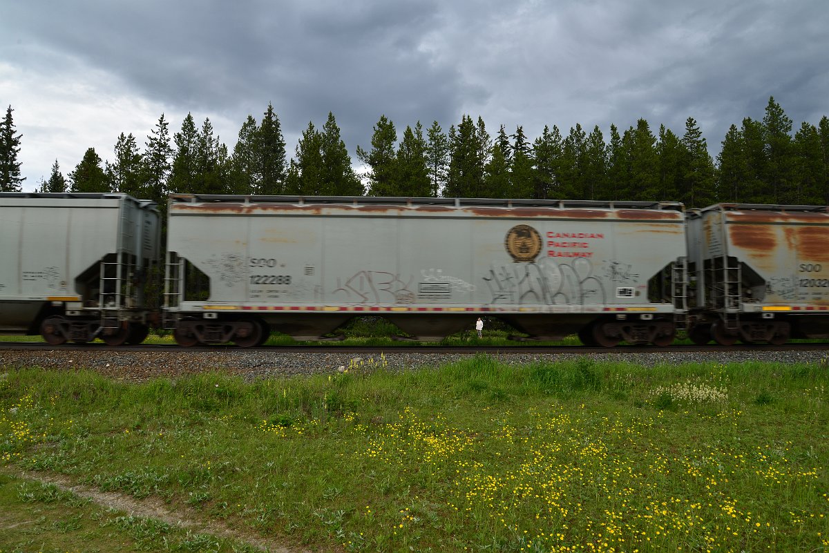 DSC_2852.JPG