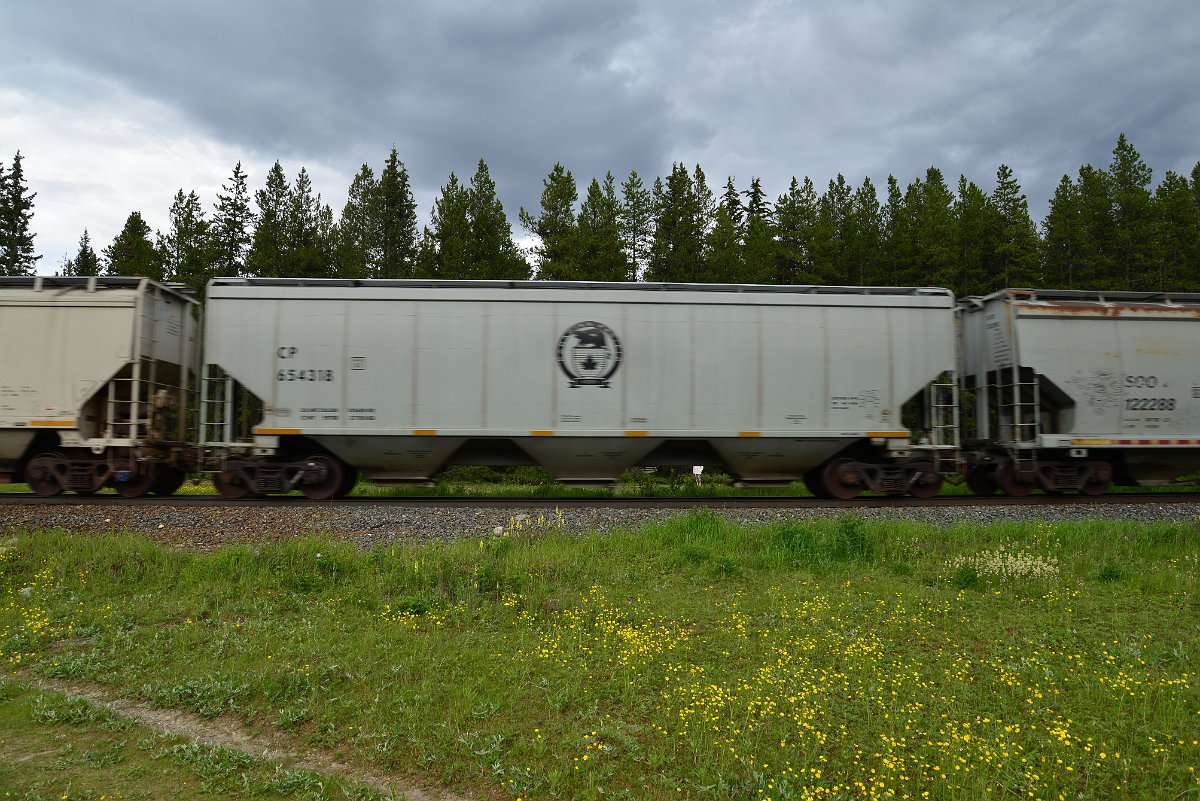 DSC_2853.JPG