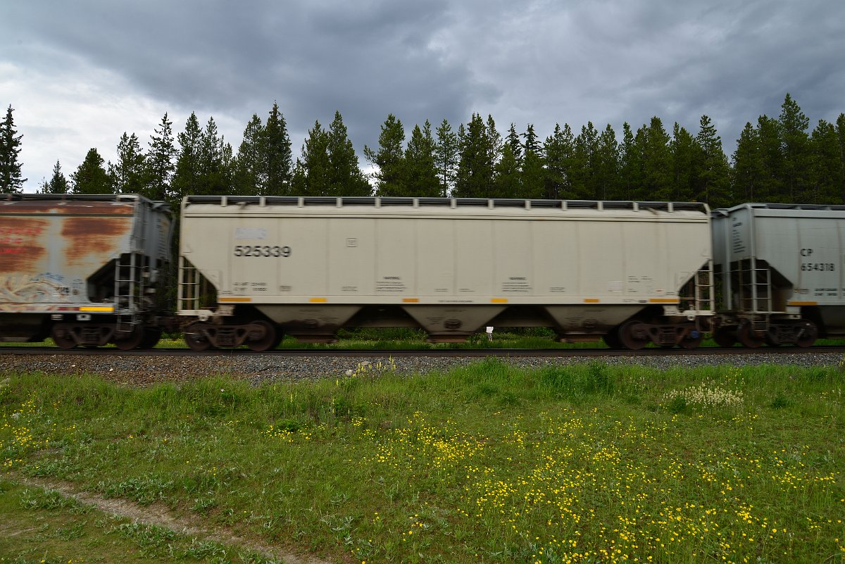 DSC_2854.JPG