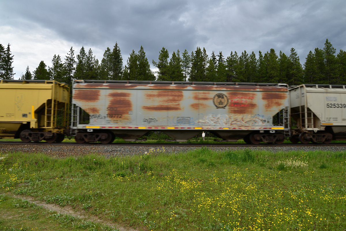 DSC_2855.JPG