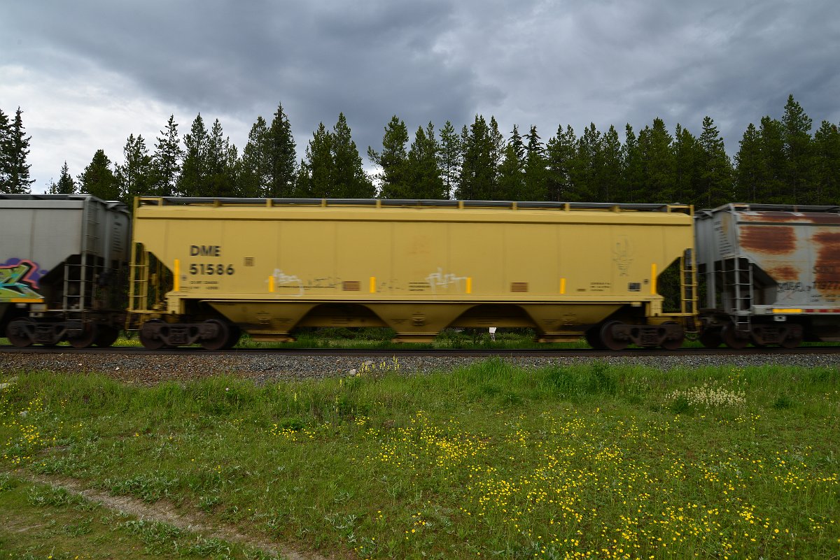 DSC_2856.JPG