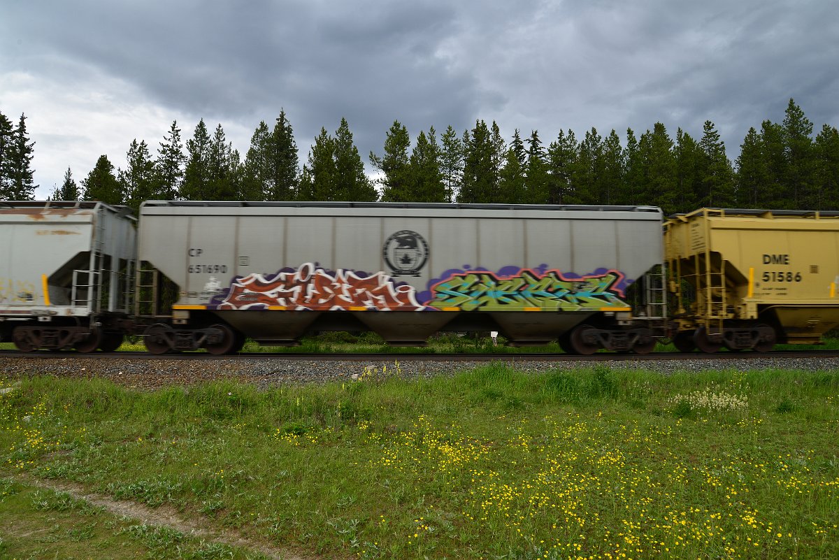 DSC_2857.JPG