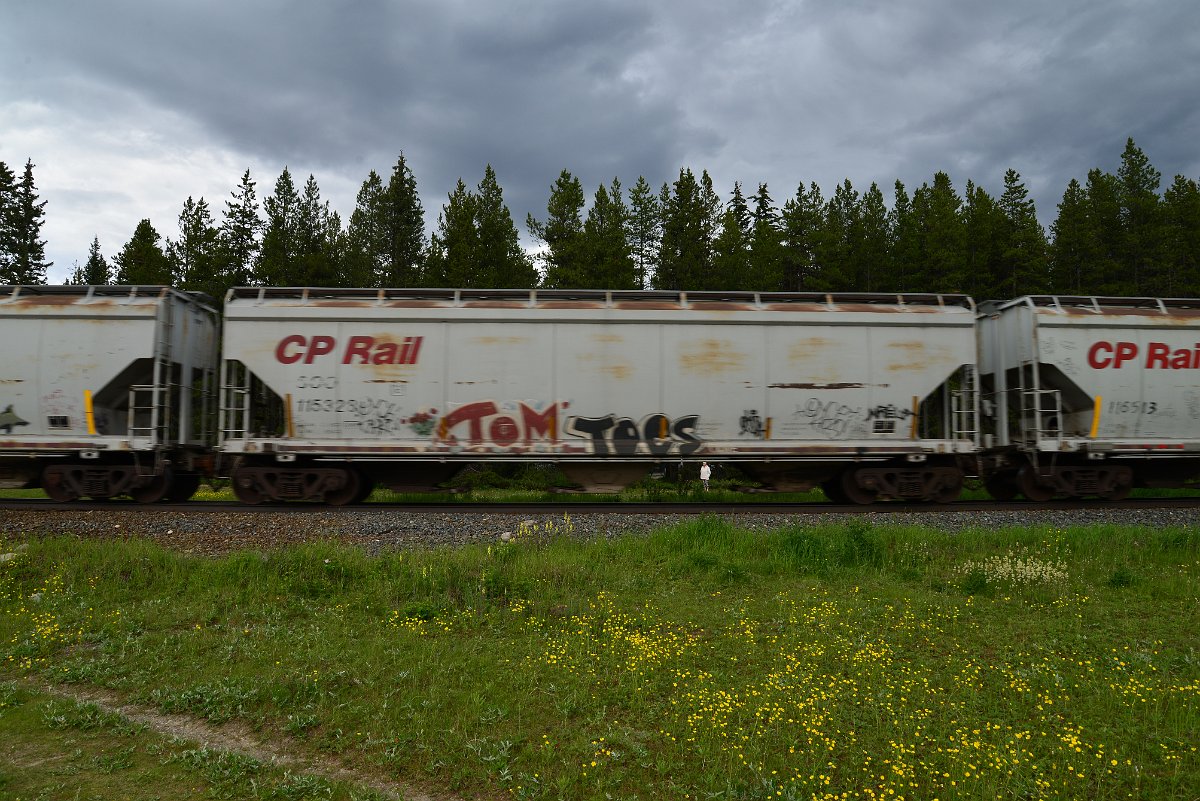 DSC_2859.JPG