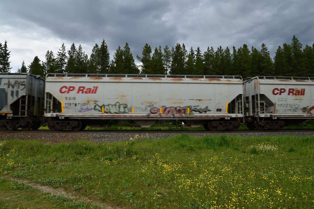 DSC_2860.JPG
