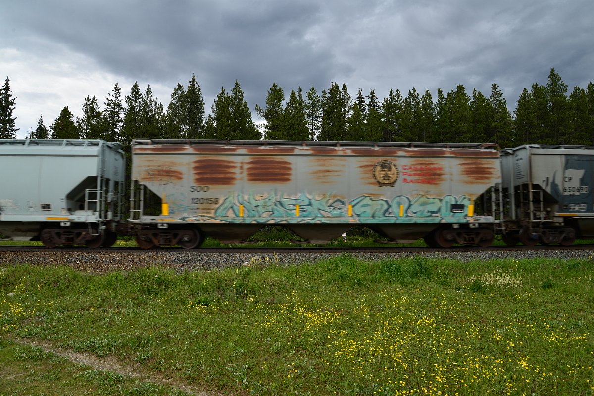 DSC_2862.JPG