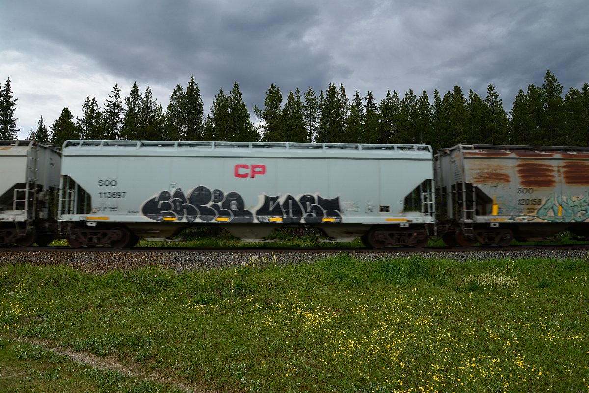 DSC_2863.JPG