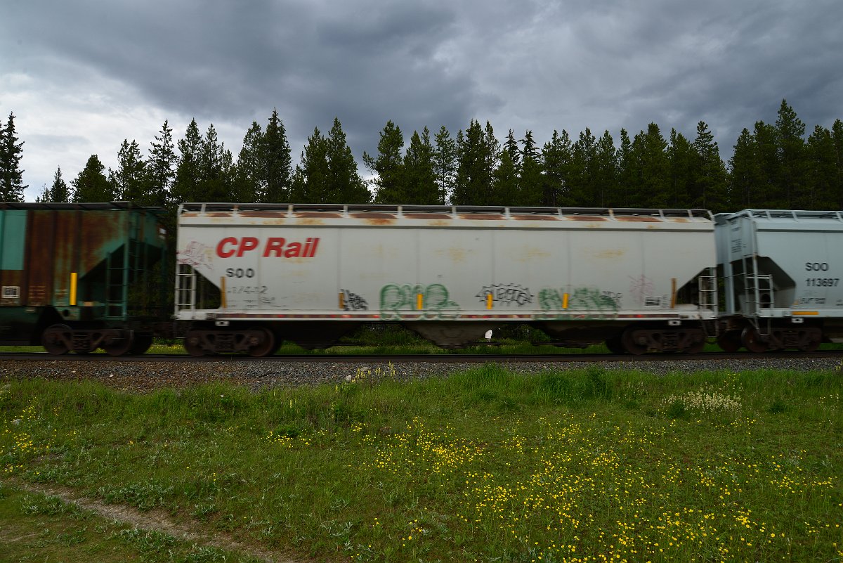 DSC_2864.JPG