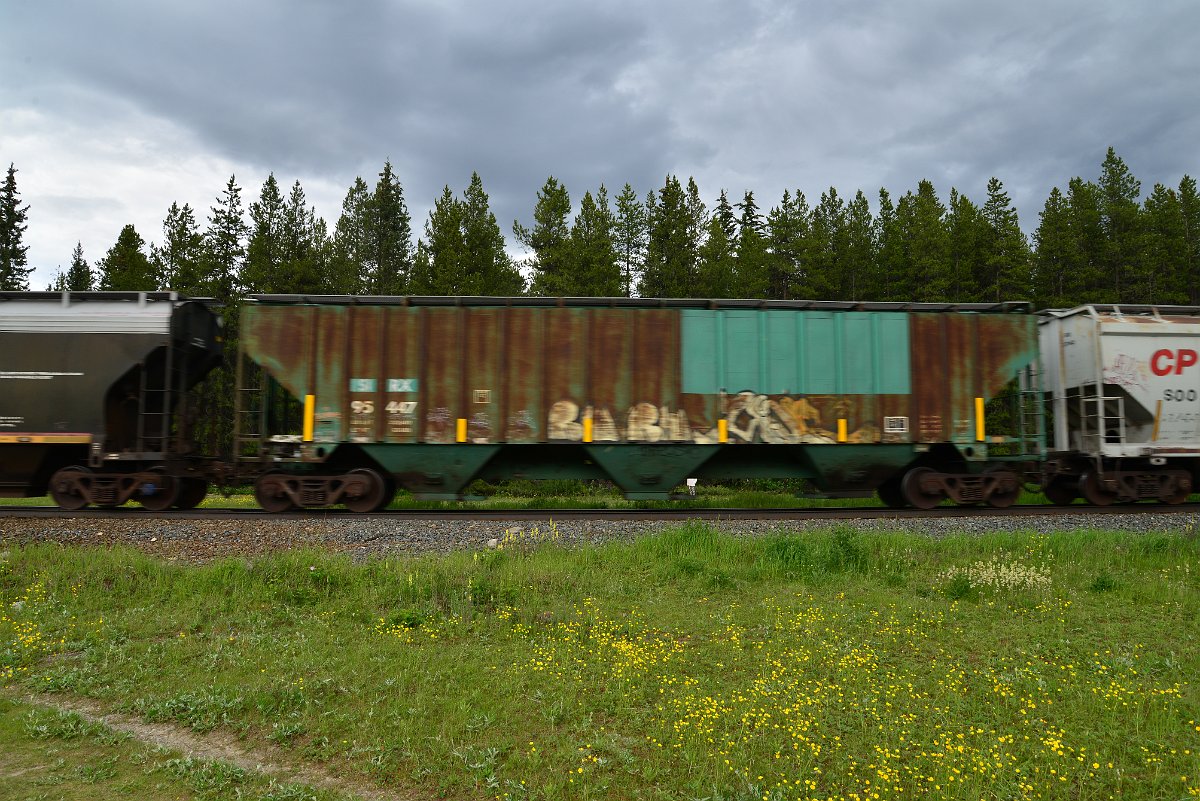 DSC_2865.JPG