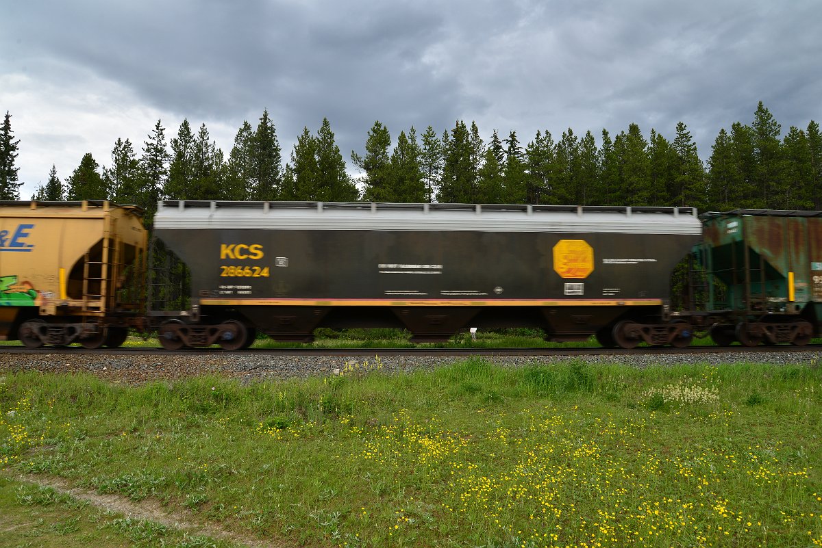 DSC_2866.JPG