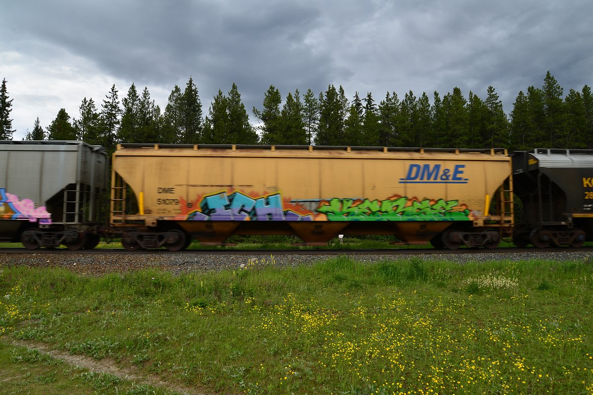 DSC_2867.JPG