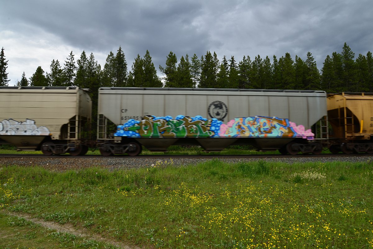 DSC_2868.JPG