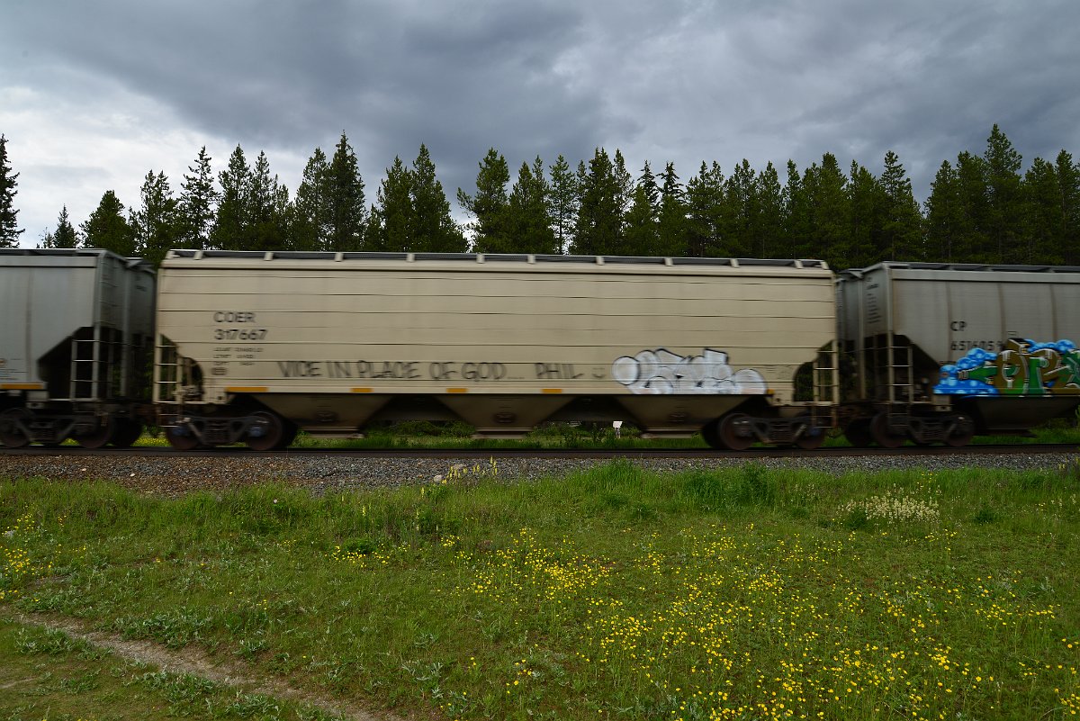 DSC_2869.JPG