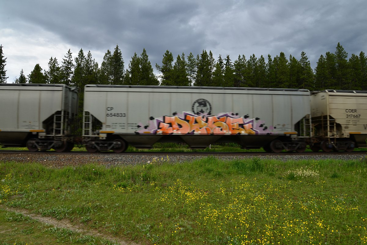 DSC_2870.JPG
