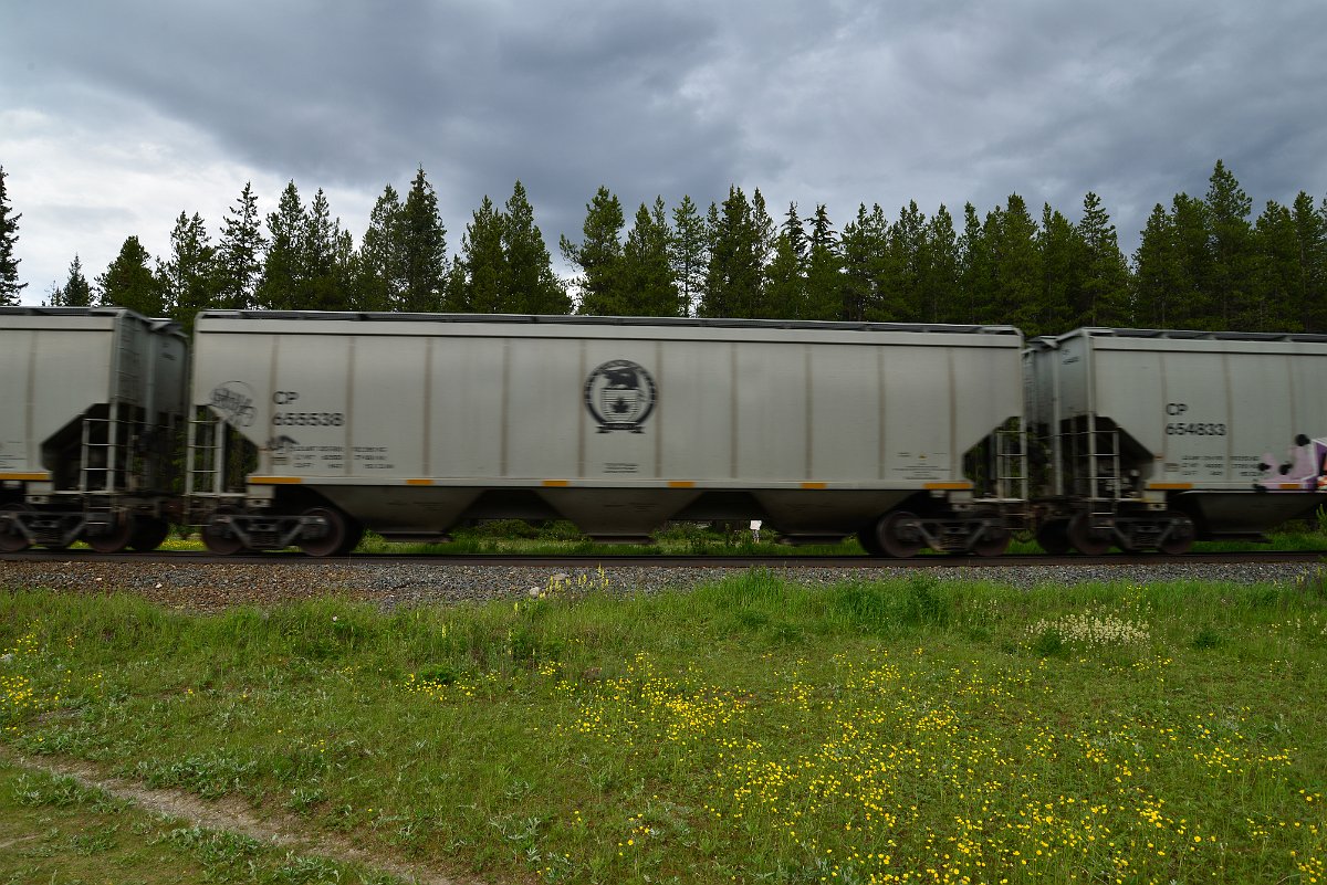 DSC_2871.JPG