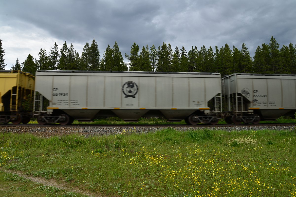 DSC_2872.JPG