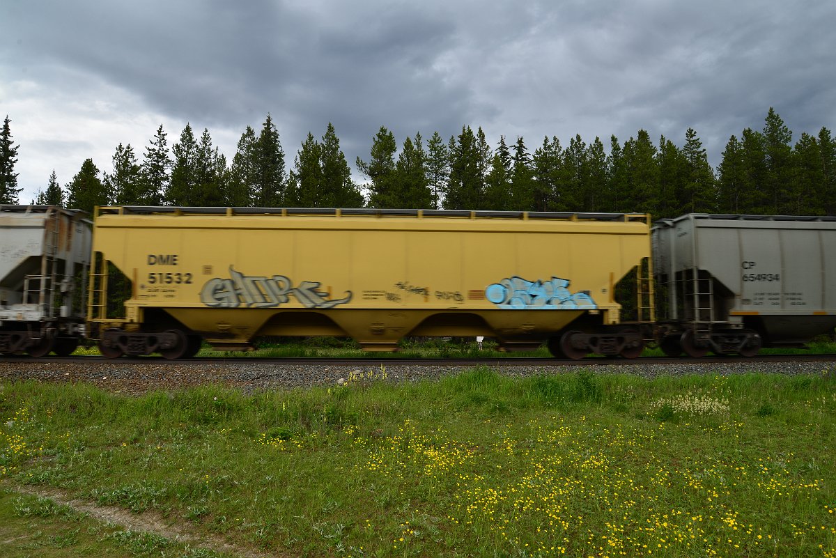 DSC_2873.JPG