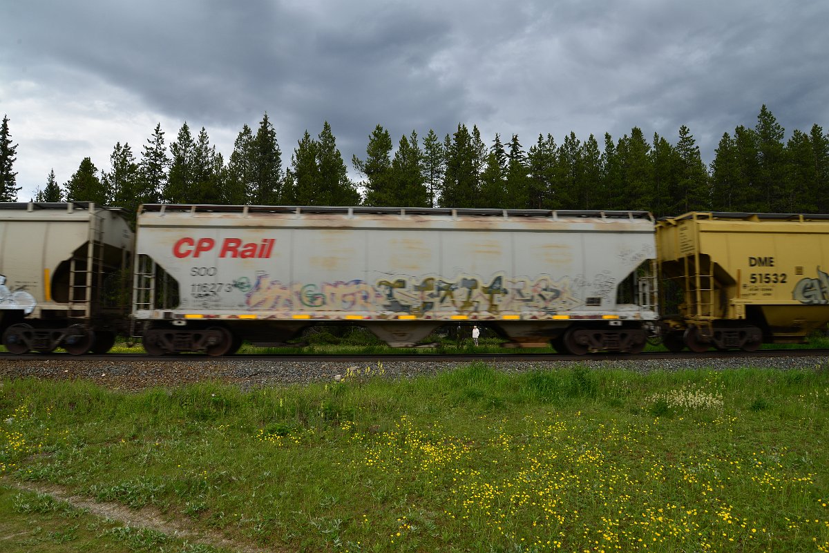 DSC_2874.JPG