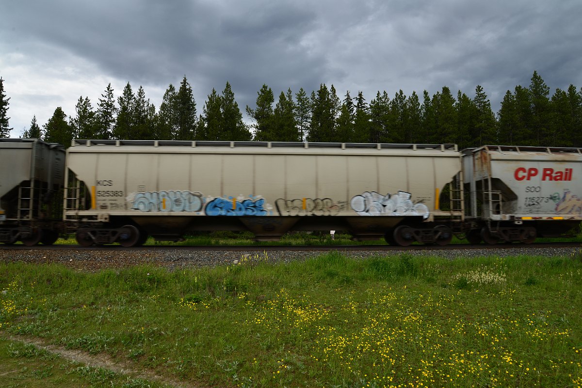 DSC_2875.JPG