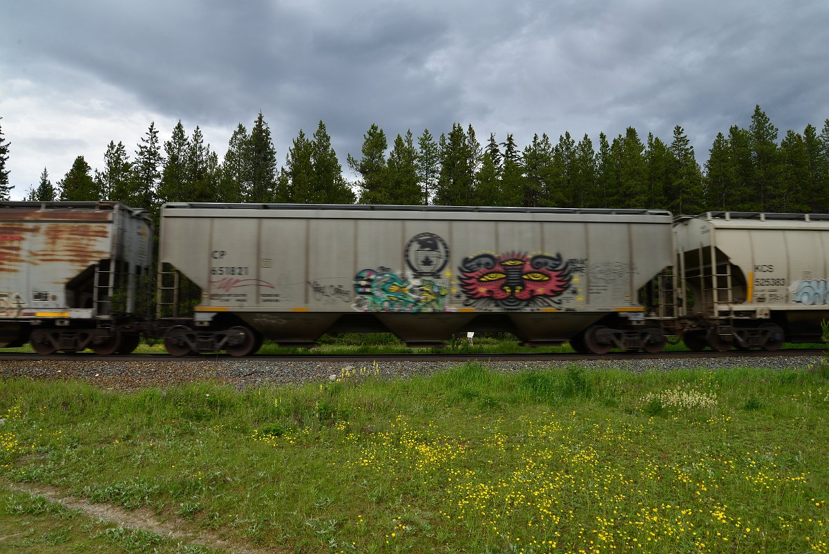 DSC_2876.JPG