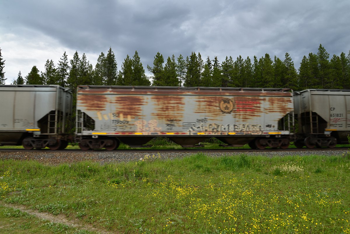 DSC_2877.JPG