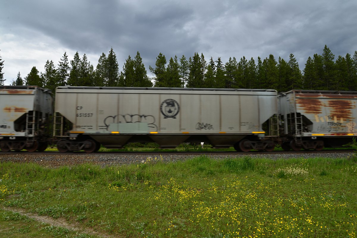 DSC_2878.JPG