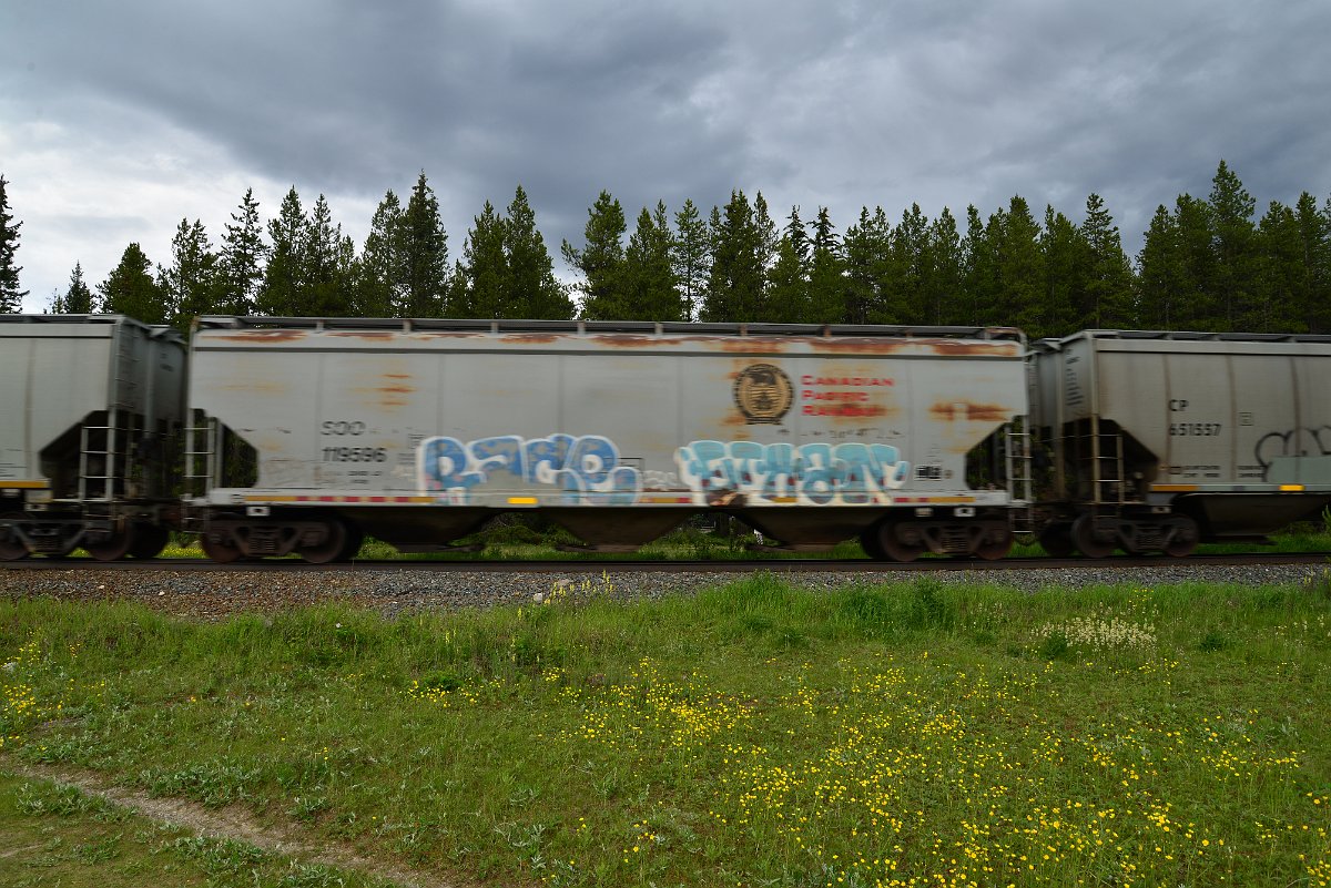 DSC_2879.JPG