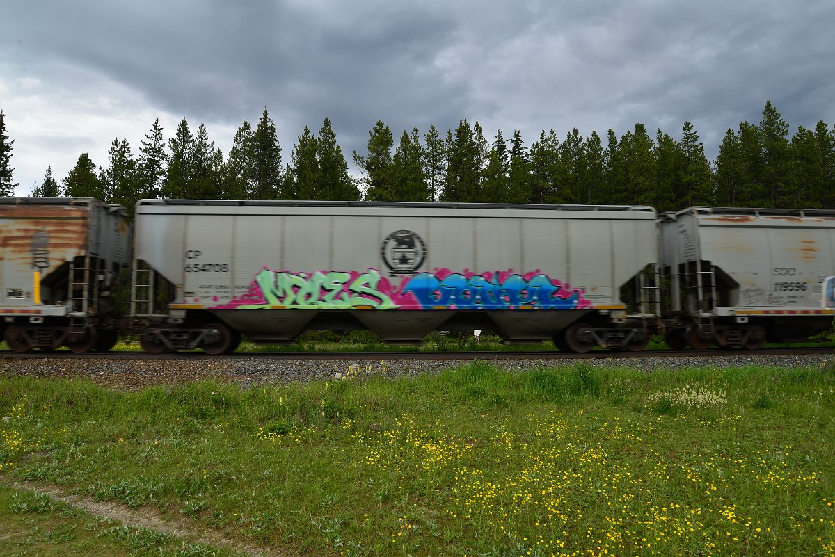 DSC_2880.JPG