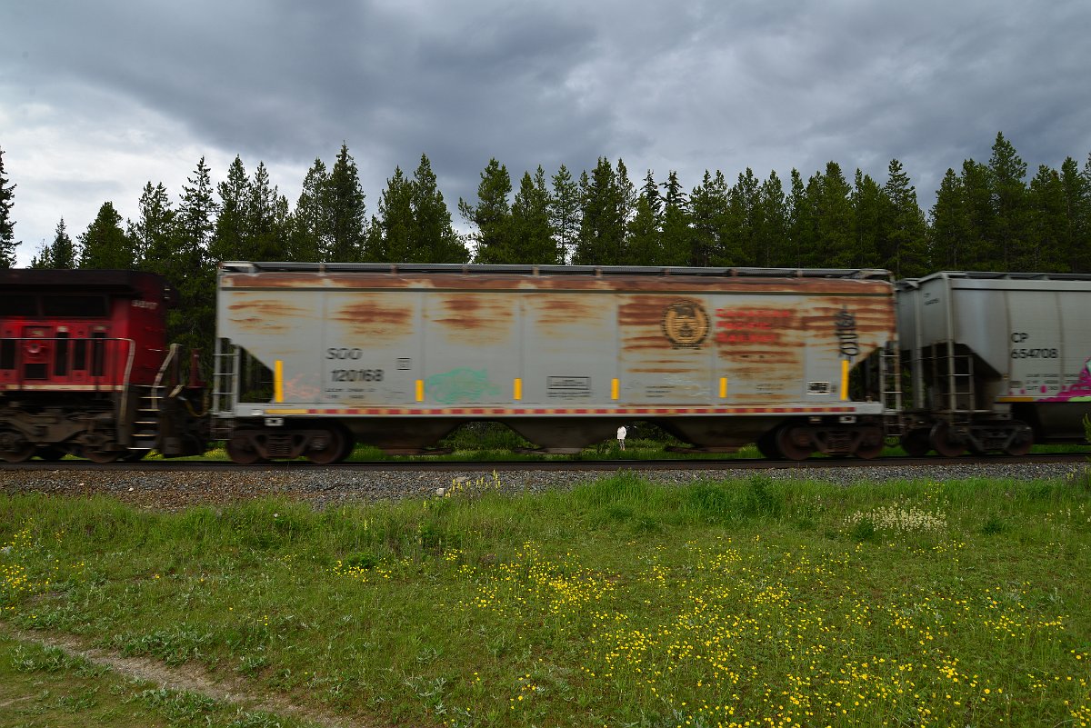 DSC_2881.JPG