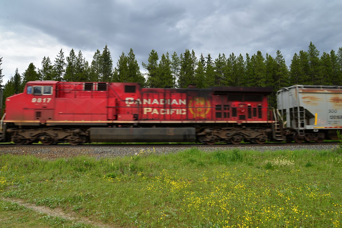DSC_2882.JPG