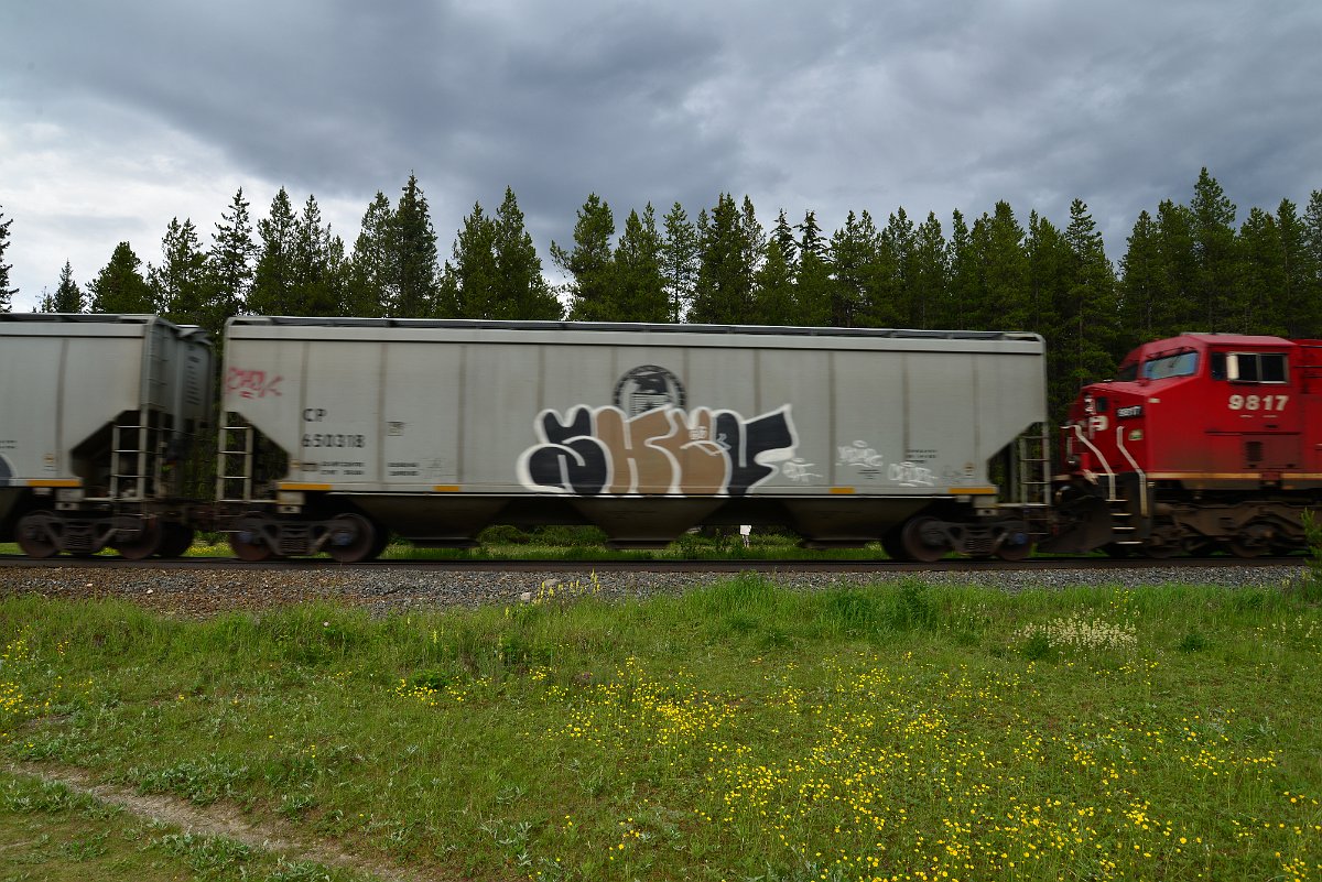 DSC_2883.JPG