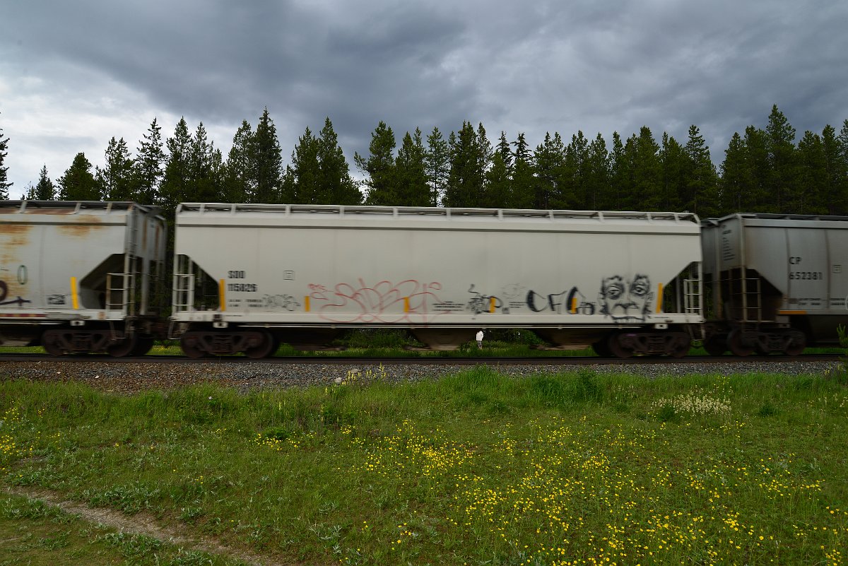 DSC_2885.JPG